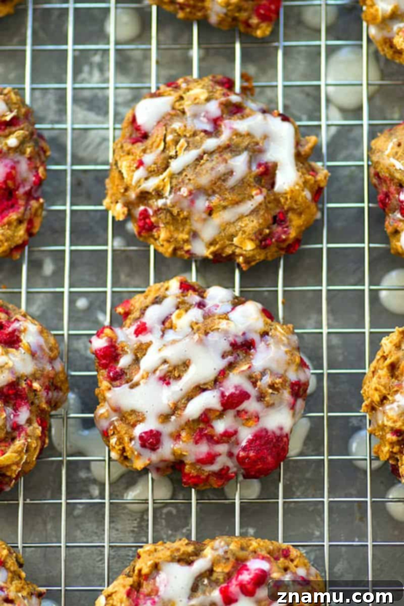 featured 24476
