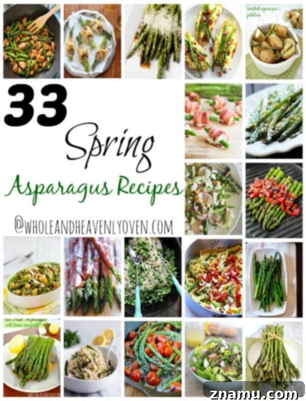 featured 5265