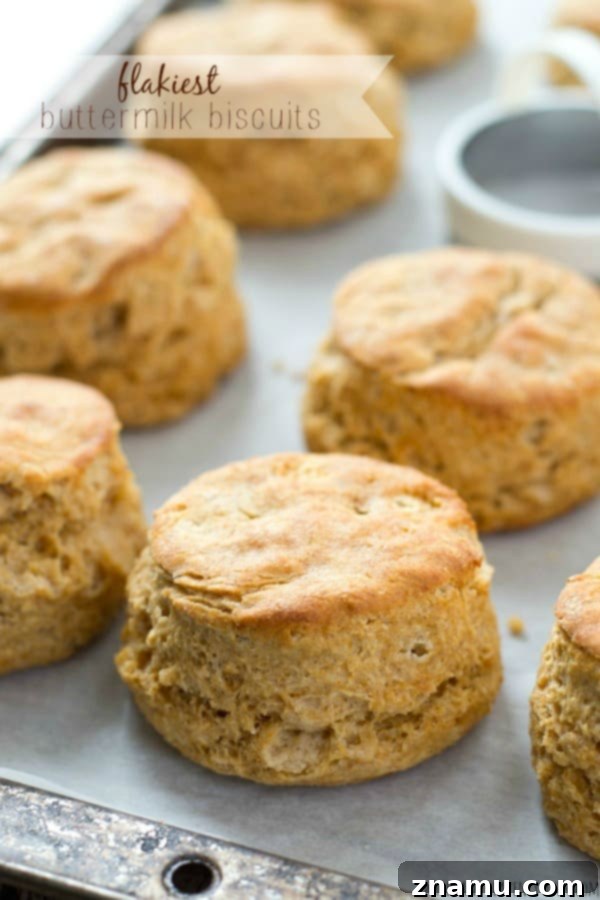 A stack of perfectly golden and flaky buttermilk biscuits, ready to be enjoyed. Your go-to recipe for homemade goodness.