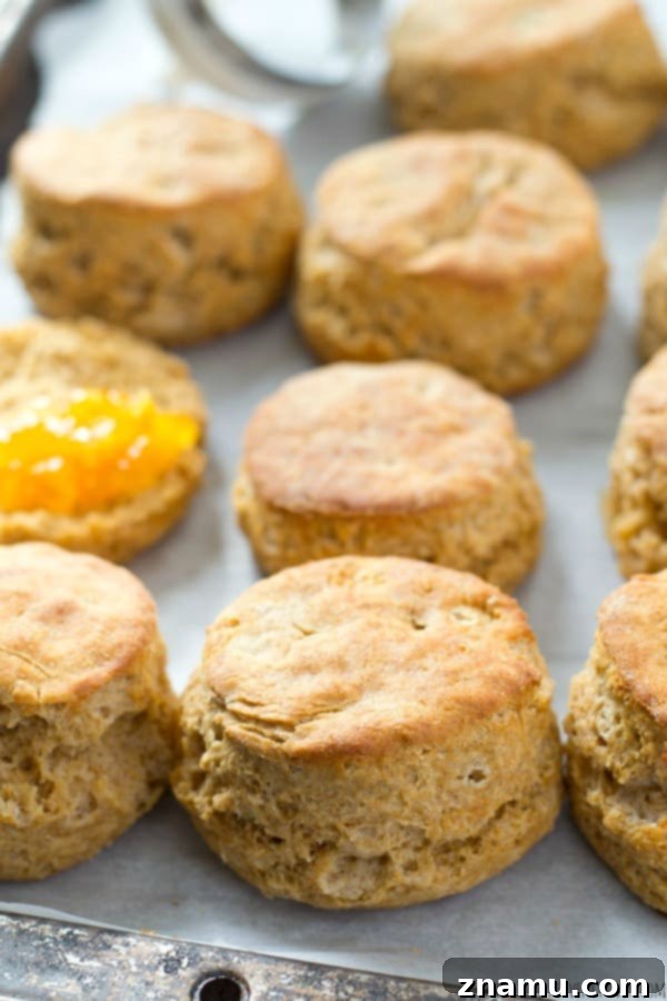 Another enticing shot of a warm, golden-brown buttermilk biscuit, ready to be enjoyed with your favorite toppings.
