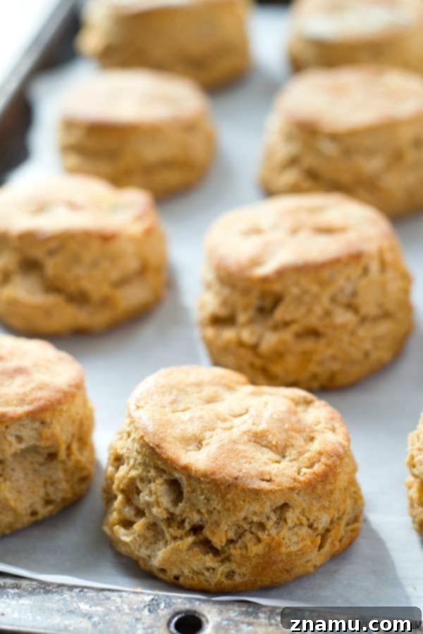 A fresh batch of homemade buttermilk biscuits, perfectly baked with a golden crust and ready to be served warm.