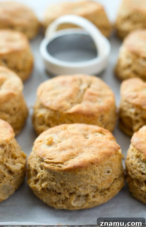 A glorious close-up of a stack of tall, flaky, and buttery buttermilk biscuits, freshly baked and ready to eat.