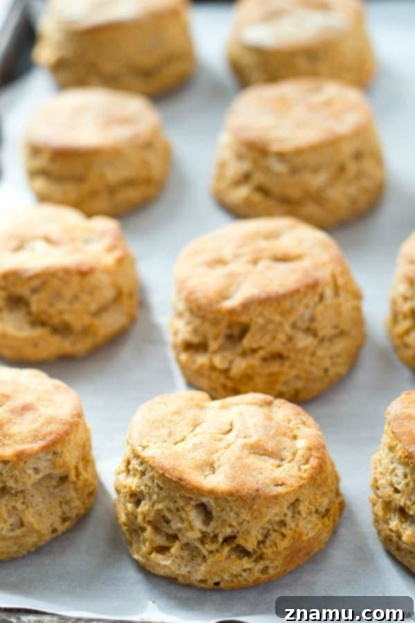 A close-up view of a split buttermilk biscuit, revealing its beautifully flaky layers and tender crumb.