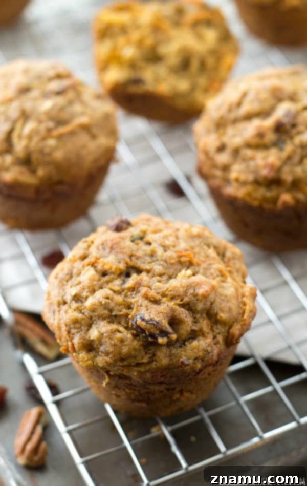 Morning Glory Muffin Perfection 6 Super-soft inside and loaded with all kinds of healthy goodness, these classic morning glory muffins are the best way to wake up! @WholeHeavenly