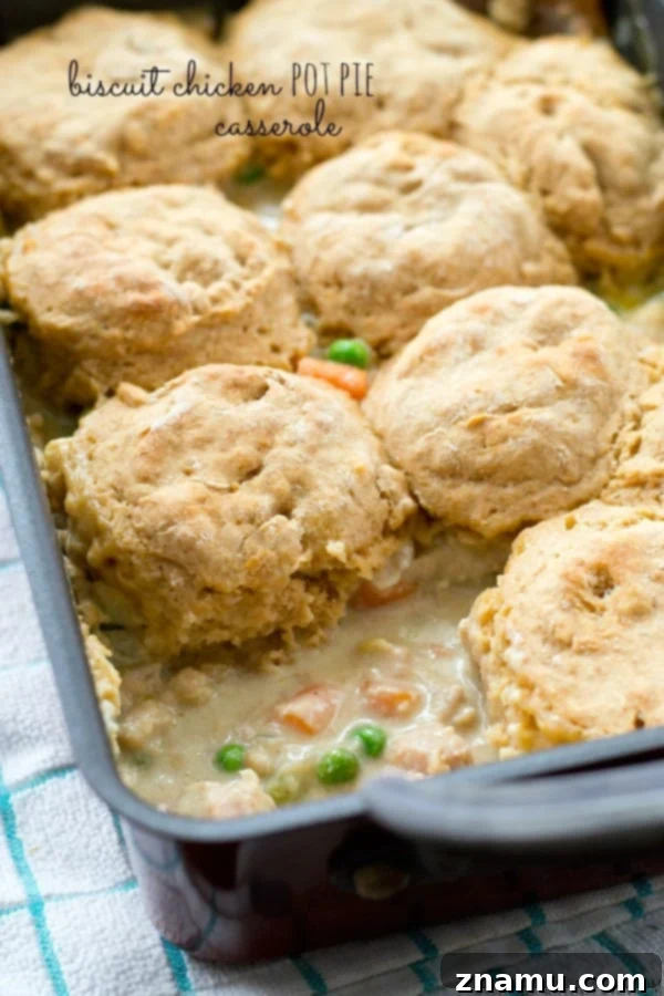 Hearty Chicken Biscuit Bake 2 A comforting homemade chicken pot pie casserole, ready in under 45 minutes.