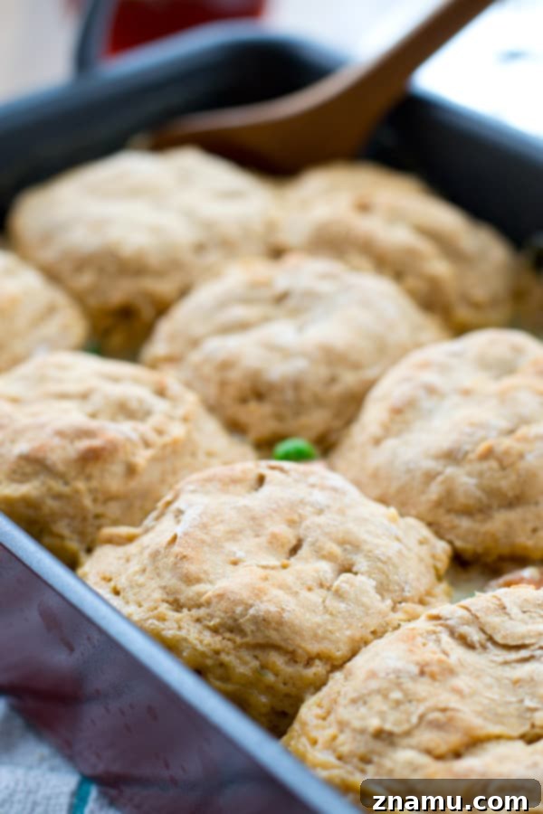 Hearty Chicken Biscuit Bake 3 A golden-brown biscuit-topped chicken pot pie casserole, ready to be served.