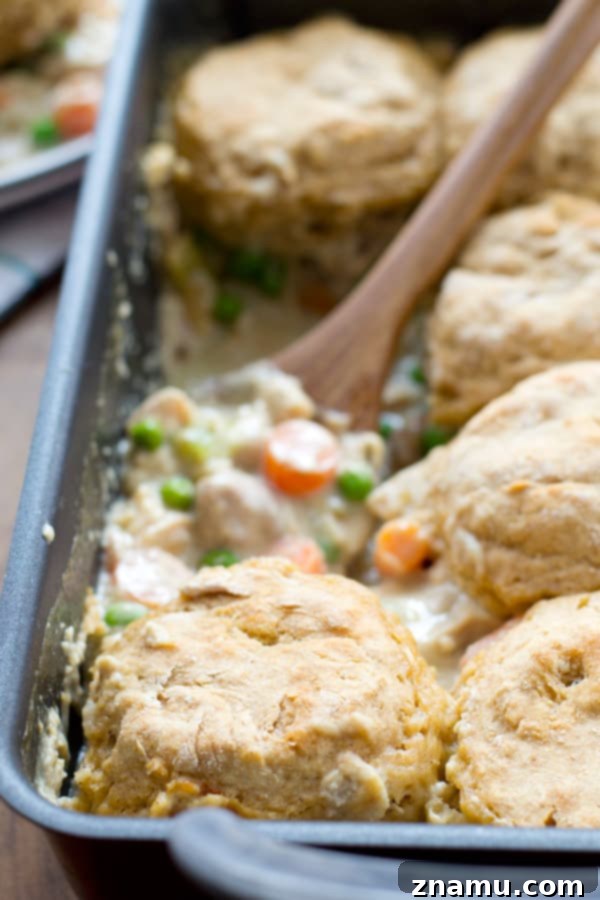 Hearty Chicken Biscuit Bake 5 The delicious and creamy chicken pot pie filling, generously portioned in a baking dish.