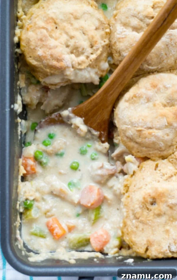 Hearty Chicken Biscuit Bake 6 Freshly baked biscuits crowning a hearty chicken pot pie casserole, straight from the oven.