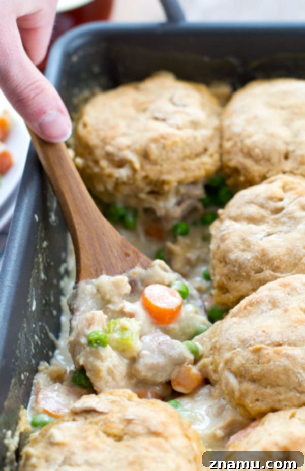 Hearty Chicken Biscuit Bake 7 A generous serving of biscuit chicken pot pie casserole, highlighting the creamy filling.