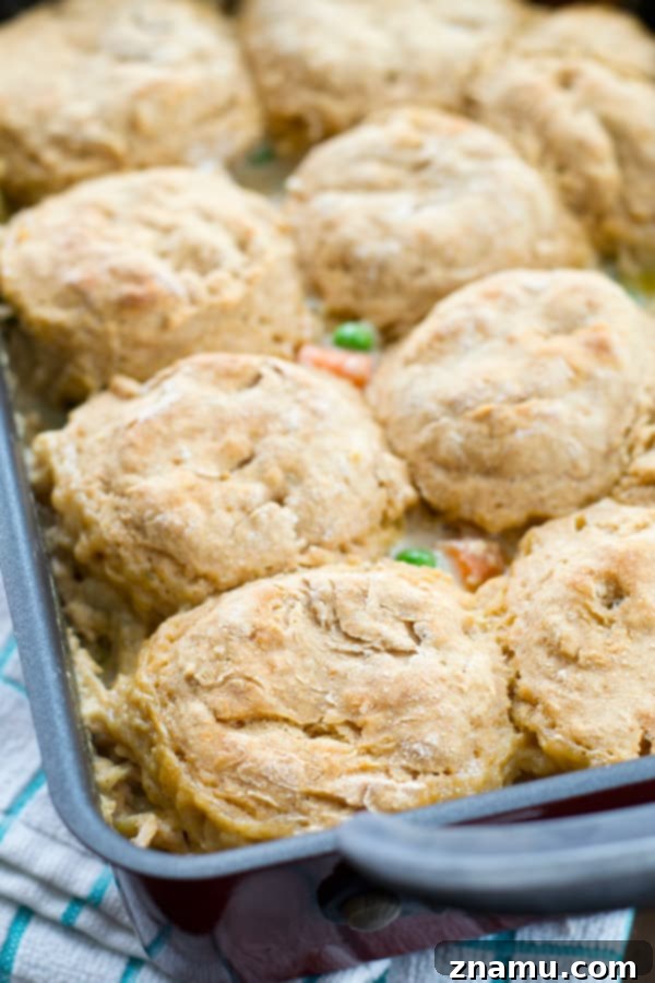 Hearty Chicken Biscuit Bake 8 The golden-brown, flaky biscuits topping a rich chicken pot pie casserole.