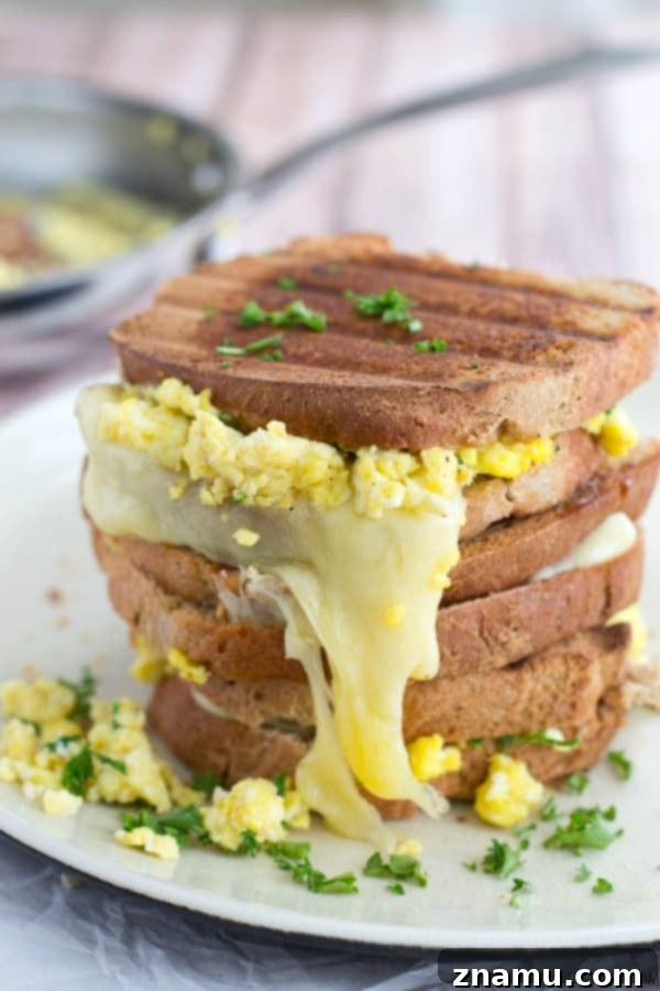The Scramble Melt 7 Close-up on the perfectly golden-brown and crispy exterior of the grilled cheese