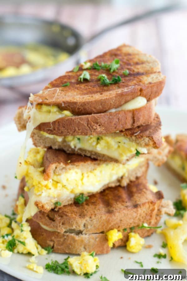 The Scramble Melt 8 Another view of the Scrambled Egg Grilled Cheese, showcasing the fluffy egg texture