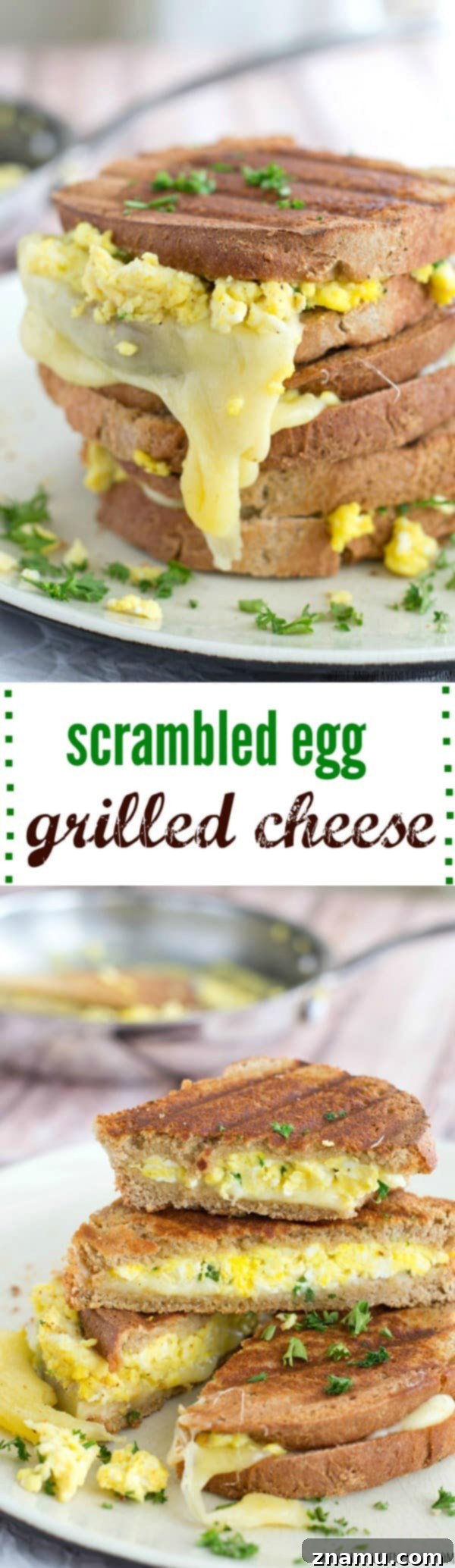 The Scramble Melt 10 Overhead shot of two Scrambled Egg Grilled Cheese sandwiches on a plate