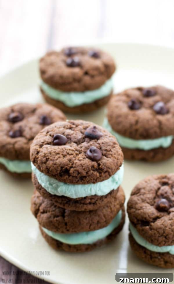 Creamy Chocolate Mint Cookie Sandwiches 6 A close-up view of the rich, dark chocolate cookie halves, waiting to be transformed into indulgent sandwiches.