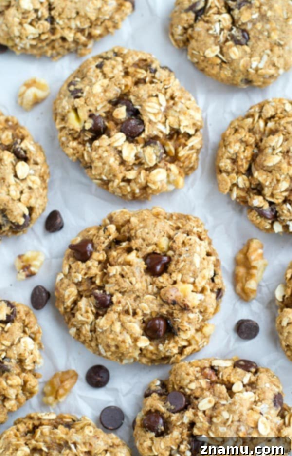 Banana Nut Chocolate Oat Medley 2 Delicious Chunky Monkey Oatmeal Cookies with peanut butter, banana, and chocolate chips