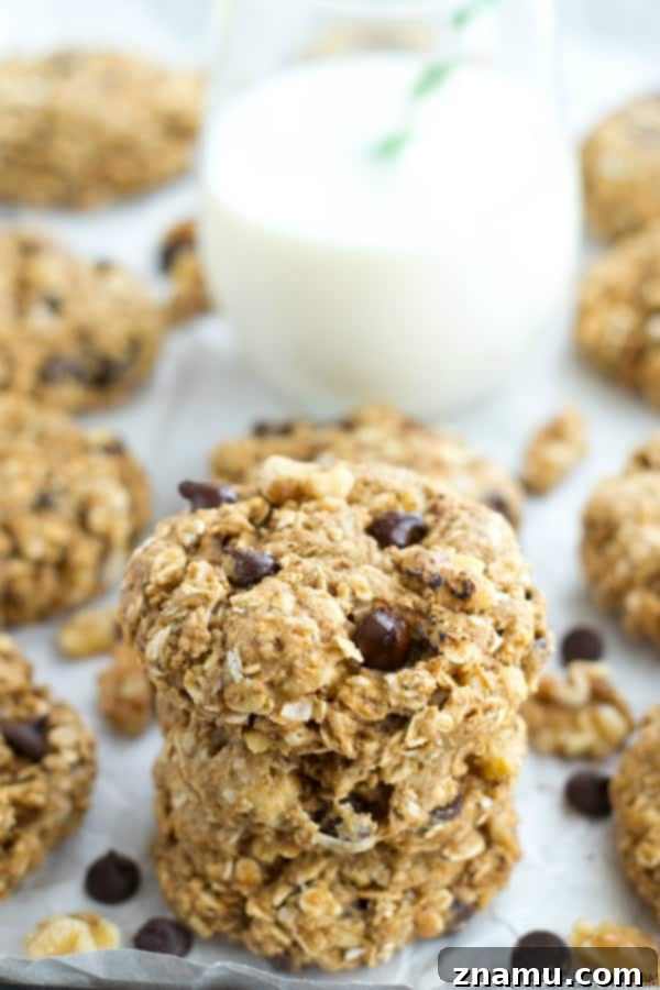 Banana Nut Chocolate Oat Medley 3 Close-up of a Chunky Monkey Oatmeal Cookie revealing its chewy texture and delicious fillings