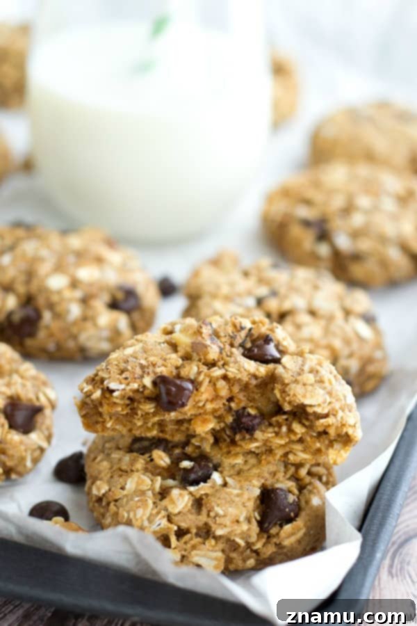 Banana Nut Chocolate Oat Medley 5 A plate of freshly baked Chunky Monkey Oatmeal Cookies