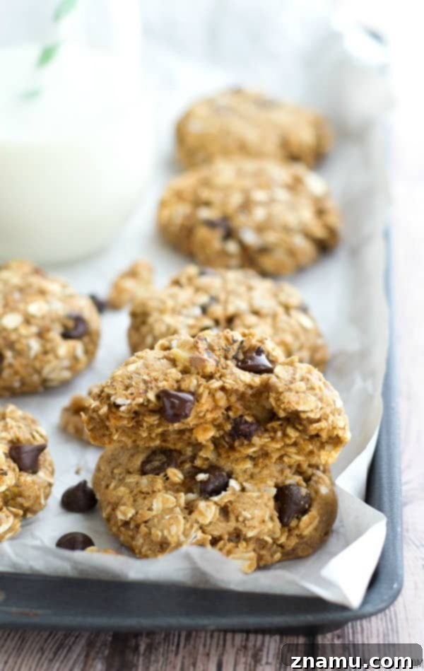 Banana Nut Chocolate Oat Medley 9 Chunky Monkey Oatmeal Cookies arranged on a serving plate