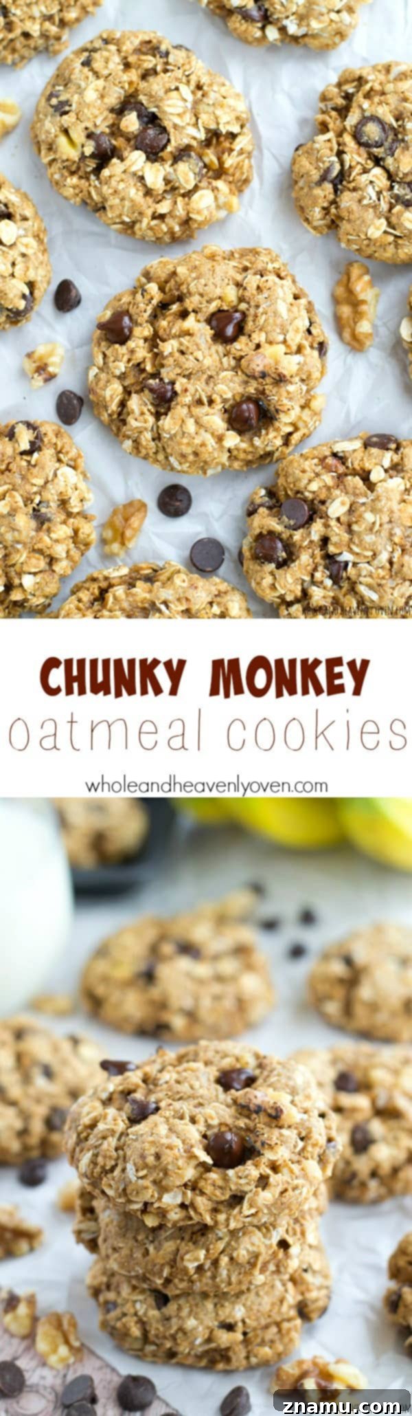 Banana Nut Chocolate Oat Medley 10 Overhead shot of Chunky Monkey Oatmeal Cookies with ingredients