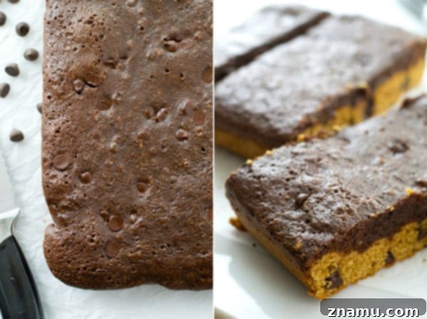 A hand holding a thick, perfectly layered brookie, showing the distinct cookie and brownie layers