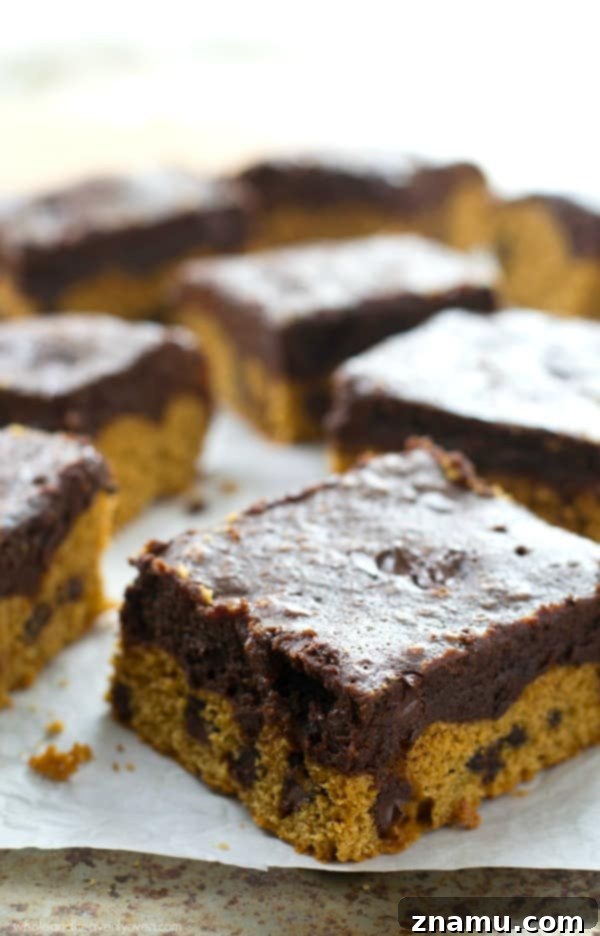 Close-up of a stack of rich, fudgy brookies on a cooling rack, glistening with chocolate chips