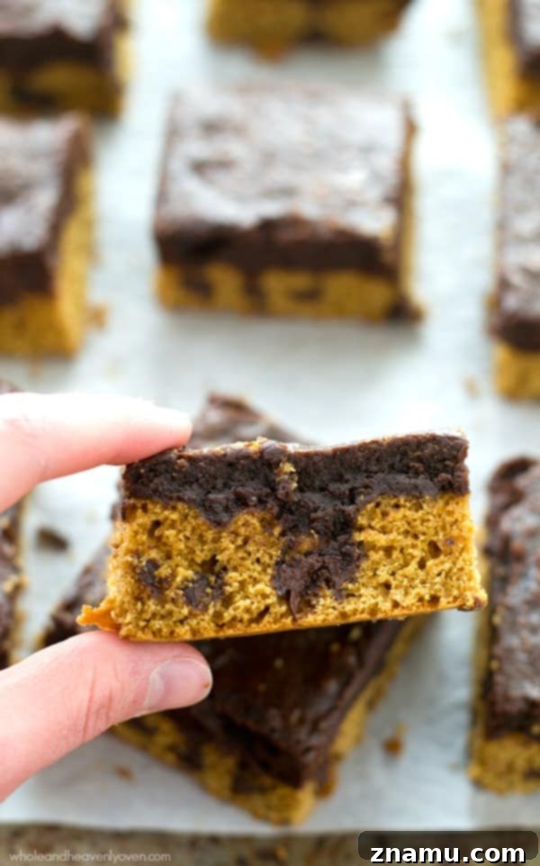 A dozen double-decker cookie dough brownies arranged on a serving plate, ready to be enjoyed