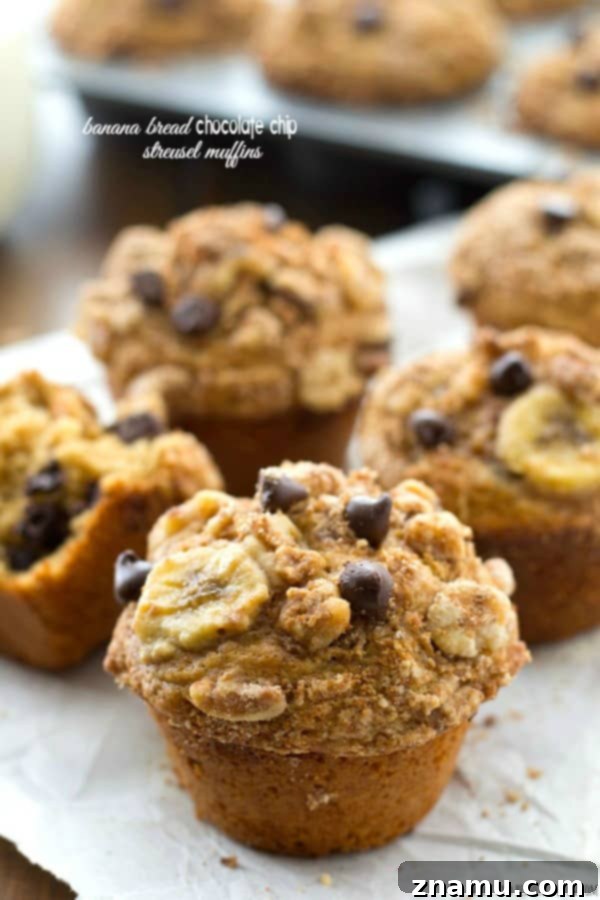 Delicious Banana Bread Chocolate Chip Streusel Muffins with a buttery streusel topping