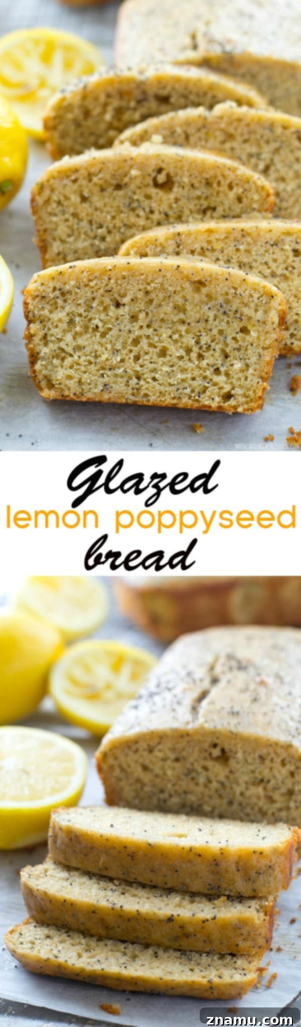 Zesty Poppy Drizzle Loaf 10 Several loaves of Glazed Lemon Poppy Seed Bread arranged together, highlighting the abundant glaze and golden crust.