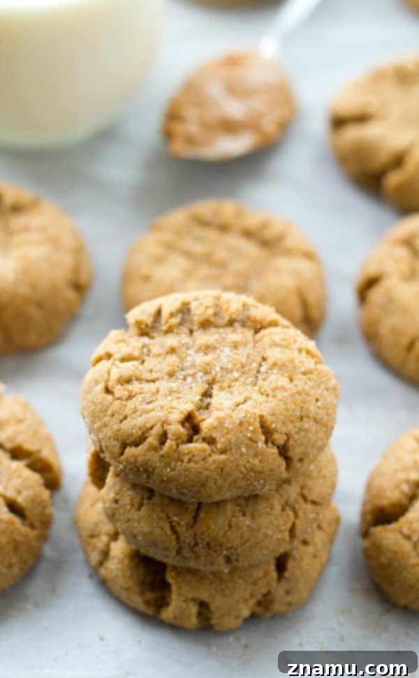 Toasted Butter Peanut Butter Sugar Cookies 3 A close-up shot of several freshly baked browned butter peanut butter sugar cookies, showcasing their soft texture and shimmering sugar coating.