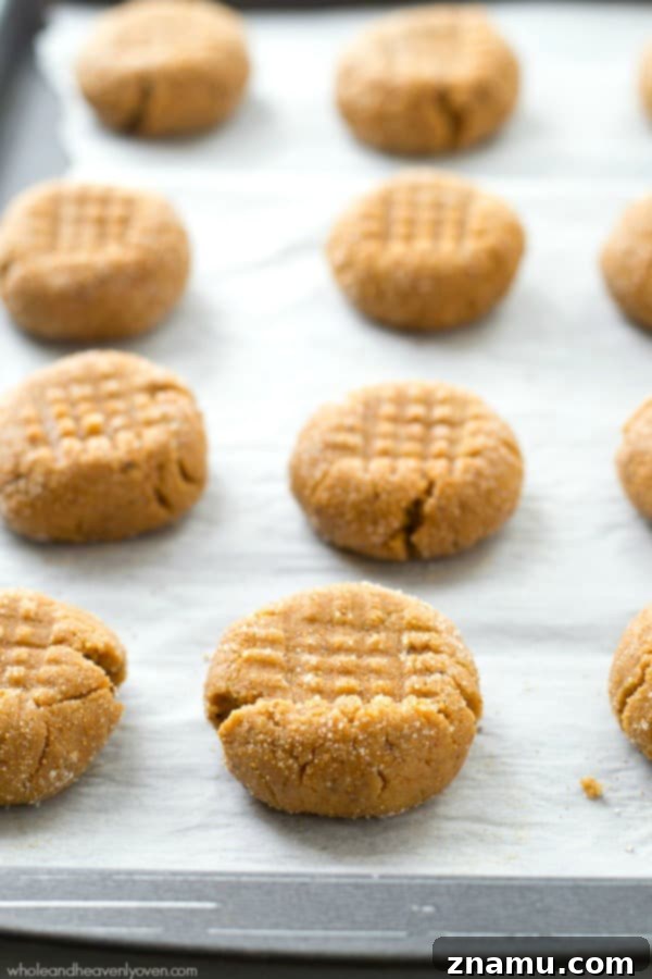 Toasted Butter Peanut Butter Sugar Cookies 8 Freshly baked browned butter peanut butter sugar cookies cooling on a wire rack, still glistening with sugar.