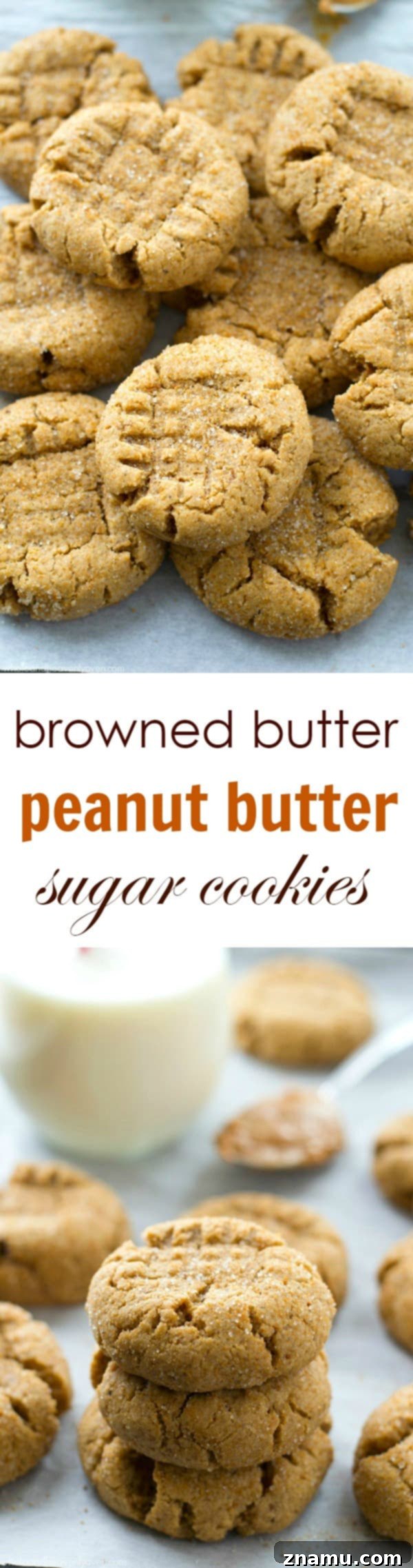 Toasted Butter Peanut Butter Sugar Cookies 10 Several browned butter peanut butter sugar cookies arranged artfully on a serving tray, perfect for sharing.