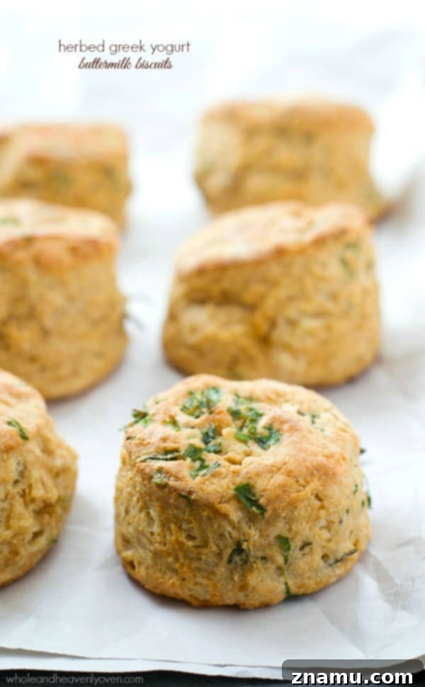 Golden brown Herbed Greek Yogurt Buttermilk Biscuits fresh from the oven, ready to be enjoyed with butter.