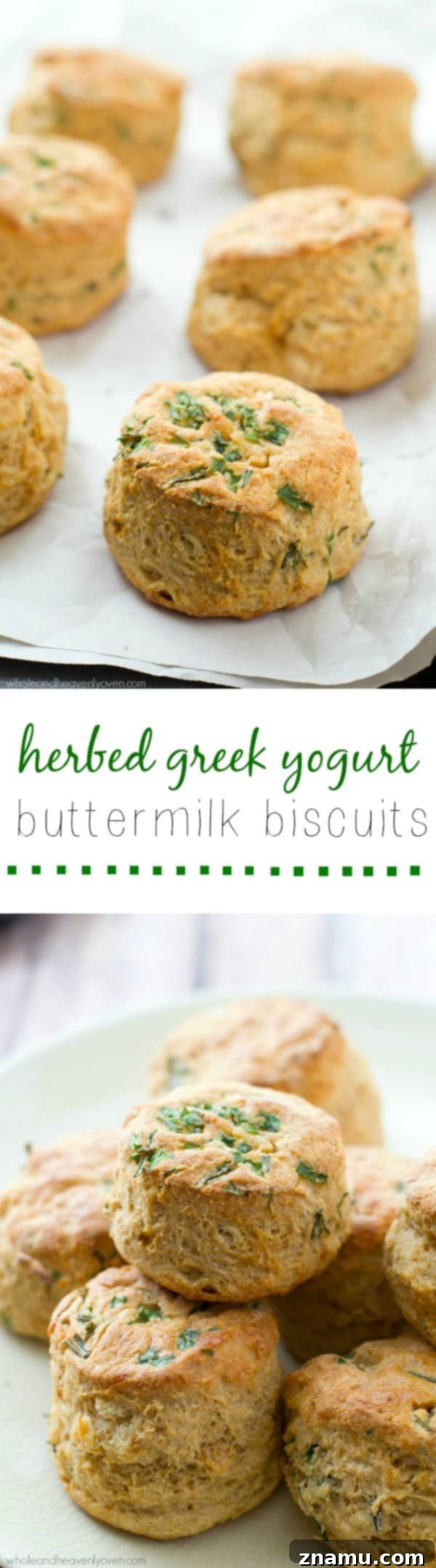 An enticing close-up of a warm Herbed Greek Yogurt Buttermilk Biscuit, showing its texture and fresh herbs.