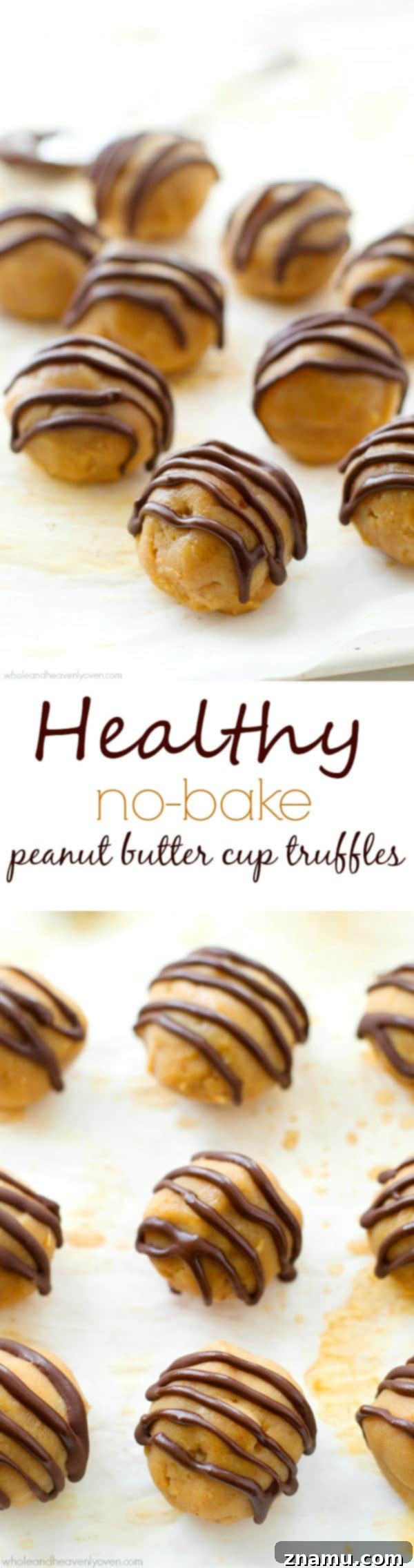 Wholesome Peanut Butter Bliss Balls 7 Batch of finished Healthy No-Bake Peanut Butter Cup Truffles, neatly arranged and ready for enjoyment.