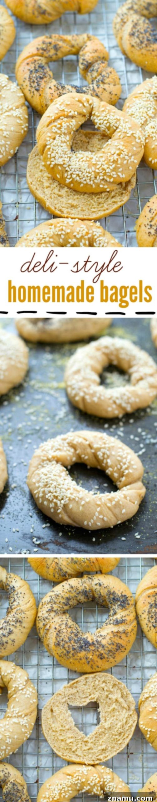 Authentic Homemade Deli Bagels 11 A large batch of homemade bagels with various toppings, including sesame and poppy seeds, laid out on a table, highlighting the abundance and freshness.