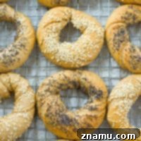 Authentic Homemade Deli Bagels 12 A delicious homemade bagel, perfectly toasted and spread with cream cheese, with a generous amount of seeds on top, ready for a delightful bite.