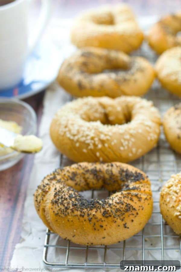 Authentic Homemade Deli Bagels 4 A close-up shot of a single homemade bagel, toasted and generously smothered with butter, held in hand, highlighting its inviting texture.