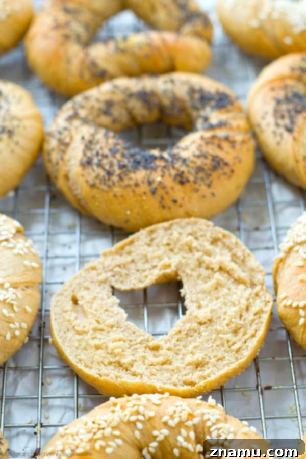 Authentic Homemade Deli Bagels 6 A close-up of several homemade bagels on a white surface, showcasing the perfectly baked, slightly crispy exterior and soft texture.