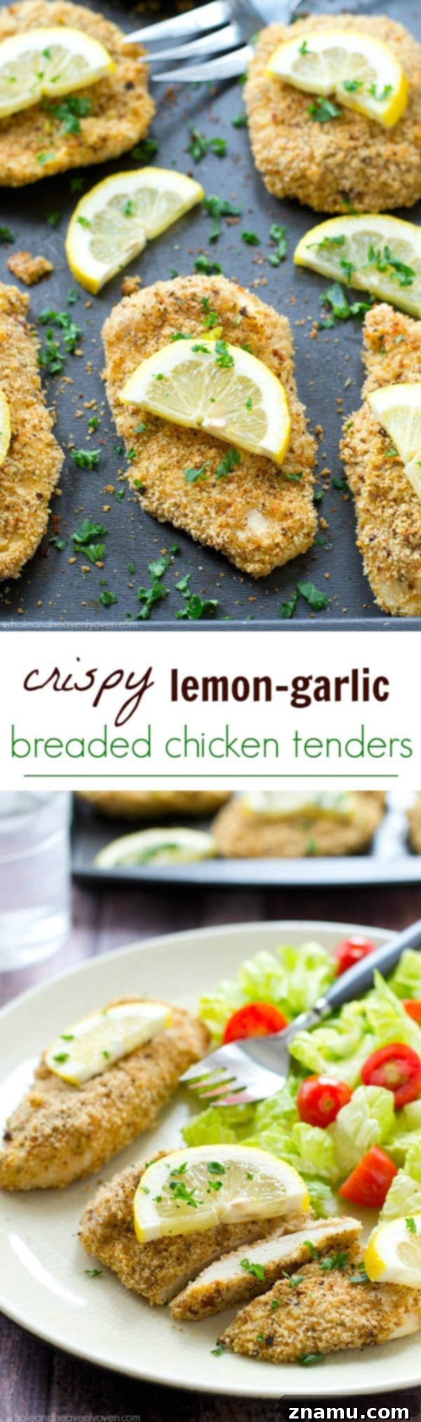Irresistible Lemon-Garlic Crusted Chicken Tenders 9 Final presentation of the oven-baked lemon-garlic chicken tenders on a large serving platter.