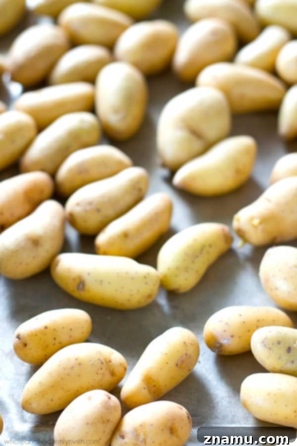 Roasted Fingerlings with Zesty Lemon Kale Pesto 3 A vibrant platter of lemon kale pesto-coated fingerling potatoes, showcasing their unique shape and golden-brown roast, nestled amongst fresh green herbs.