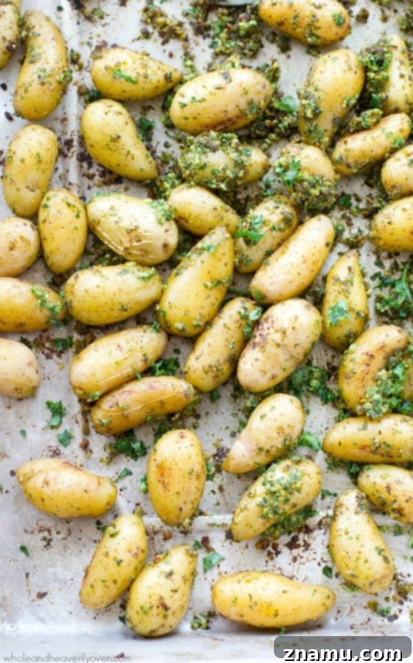 Roasted Fingerlings with Zesty Lemon Kale Pesto 4 Close-up of freshly made lemon kale pesto, a vivid green concoction of kale, lemon, walnuts, and Parmesan, ready to infuse flavor.