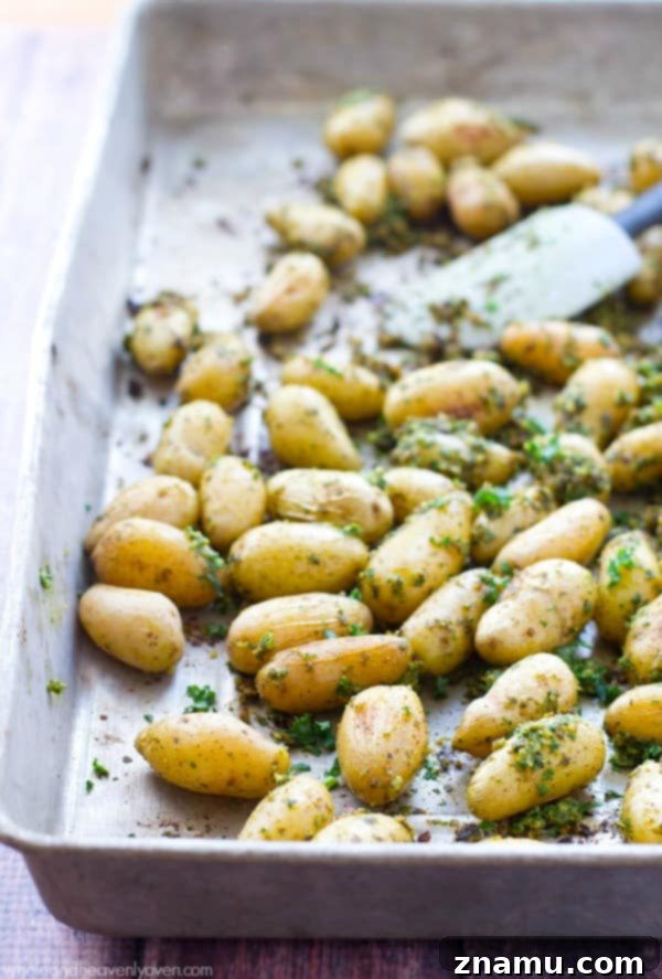 Roasted Fingerlings with Zesty Lemon Kale Pesto 5 A baking sheet filled with fingerling potatoes generously coated in lemon kale pesto, prepped for roasting to golden perfection.