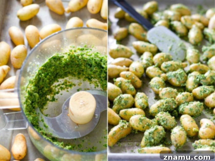 Roasted Fingerlings with Zesty Lemon Kale Pesto 6 A vibrant pan of lemon kale pesto-roasted fingerling potatoes, golden and crisp, fresh out of the oven, ready to serve.