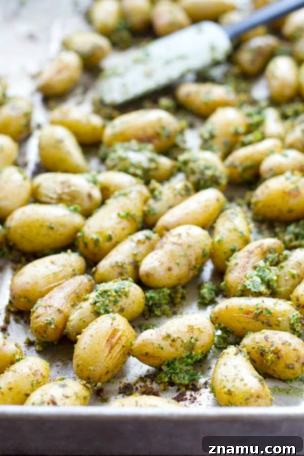 Roasted Fingerlings with Zesty Lemon Kale Pesto 7 A serving bowl filled with a generous portion of steaming hot pesto-roasted fingerling potatoes, garnished with fresh herbs.