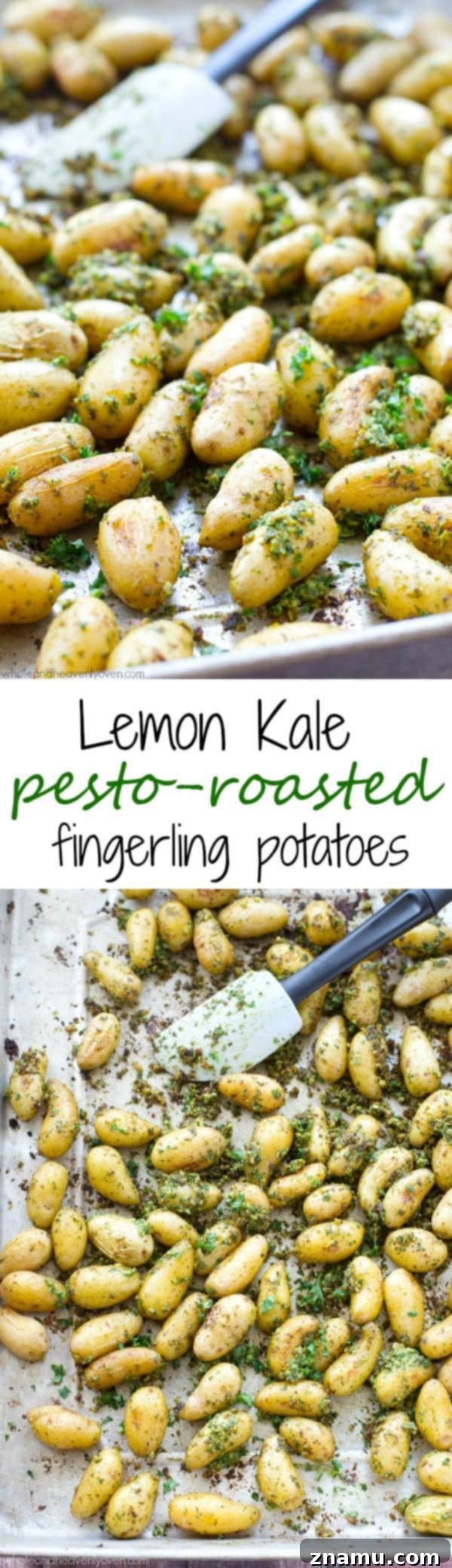 Roasted Fingerlings with Zesty Lemon Kale Pesto 8 Overhead view of a beautifully arranged plate featuring lemon kale pesto-roasted fingerling potatoes, ready to be enjoyed.