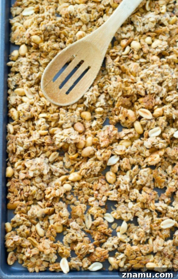 A second close-up image of healthy peanut butter granola, highlighting its rich peanut butter coating and visible chia seeds. Perfect for a nutritious breakfast. @WholeHeavenly