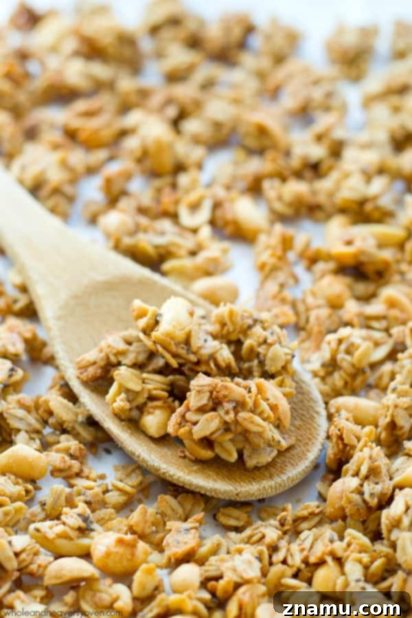 A bowl filled with loaded peanut butter granola, highlighting its texture and inviting appearance, ready to be enjoyed. @WholeHeavenly