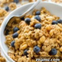A visual of the finished healthy peanut butter chia seed granola, highlighting its texture and golden color, ready to be enjoyed.