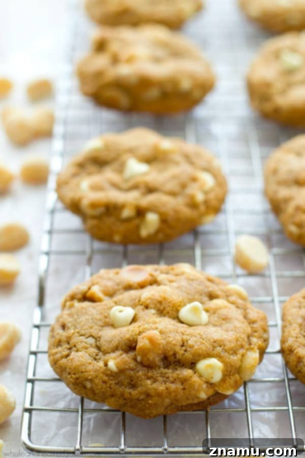 Close-up of butter-free white chocolate macadamia nut cookie, showcasing gooey white chocolate