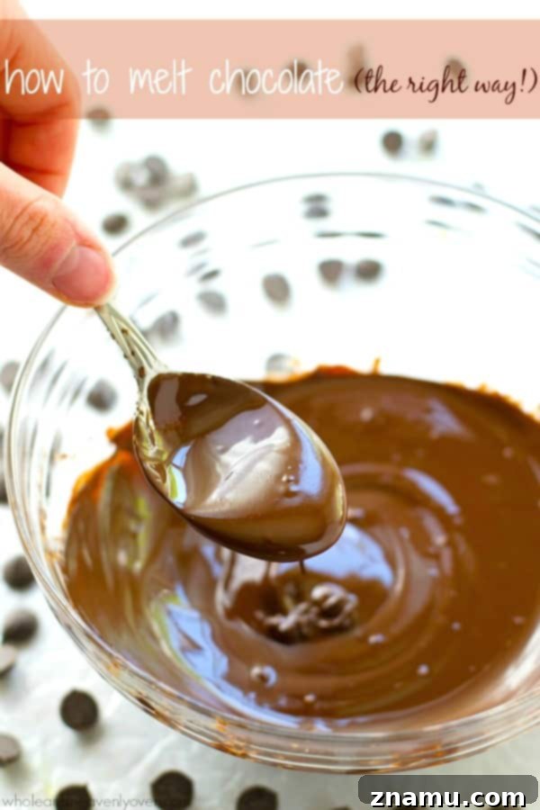 Mastering the Art of Chocolate Melting 2 Smooth, perfectly melted chocolate chips ready for use in a bowl over a double boiler setup.